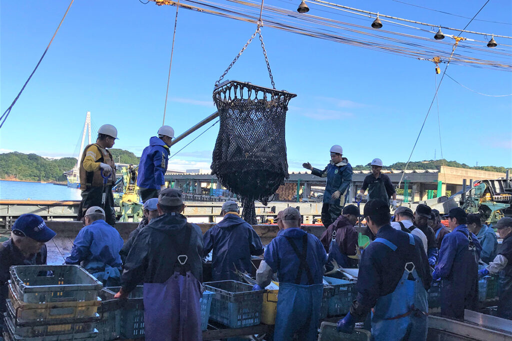 シーライフ浜田港水揚げ