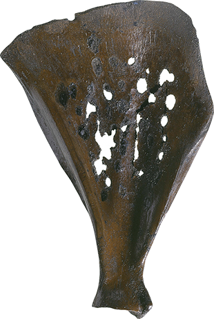 三徳山と大山はライバルだった!?