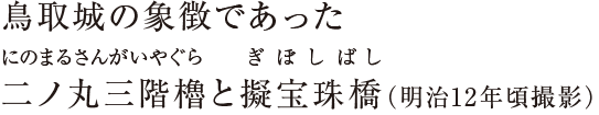 鳥取城の象徴であった二ノ丸三階櫓と擬宝珠橋（明治12年頃撮影）