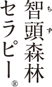 智頭森林セラピー