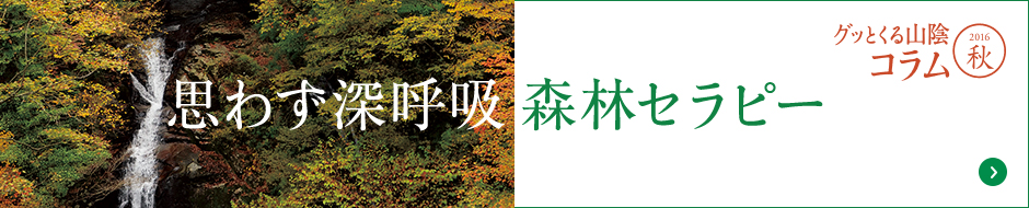 思わず深呼吸森林セラピー　グッとくる山陰　2016秋