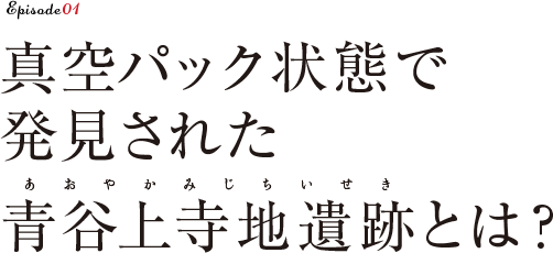 地蔵信仰が育んだ日本最大の大山牛馬市