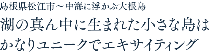 湖の真ん中に生まれた小さな島はかなりユニークでエキサイティング