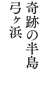 奇跡の半島 弓ヶ浜