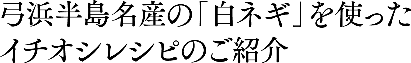 弓浜半島名産の「白ネギ」を使ったイチオシレシピのご紹介