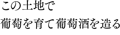 この土地で葡萄を育て葡萄酒を造る