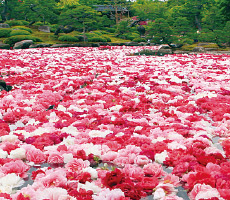 由志園 山陰いいものコレクション 山陰いいもの探県隊