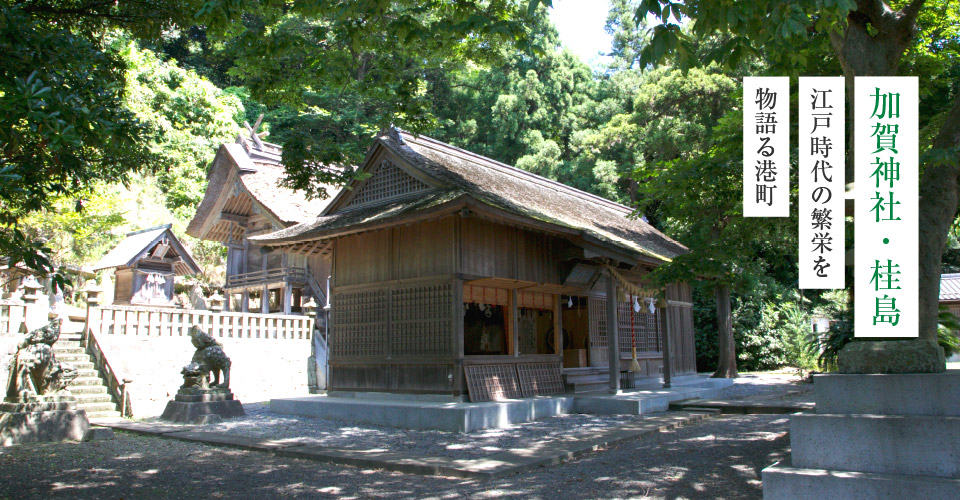 加賀神社 桂島 山陰いいものコレクション 山陰いいもの探県隊